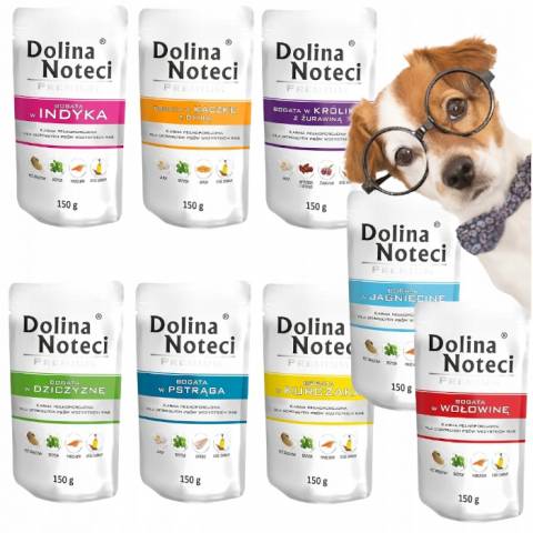 DOLINA NOTECI PREMIUM saszetka MIX SMAKÓW 20x 150g