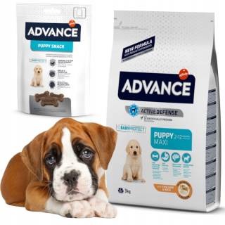 ADVANCE Puppy Protect Maxi szczenięta 3kg +GRATIS