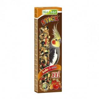 Nestor kolba xxl papuga średnia owoc-orzech 150g