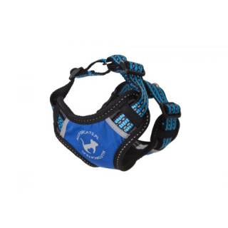 All for cats sportowe szelki niebieski xs dla kota