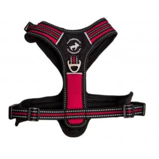 All for dogs szelki 3x-sport czerwone xs