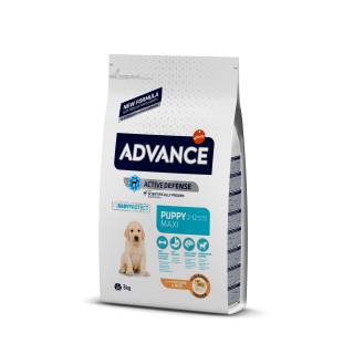 Advance puppy protect maxi - sucha karma dla szczeniąt ras dużych 3kg 513319