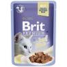 Brit pouch jelly fillets with beef 85 g