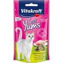 Zdjęcie produktu Vitakraft cat yums kurczak z kocią trawą 40g d/kota