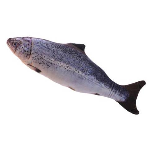 Allure rybka z kocimiętką pstrąg (20 cm)