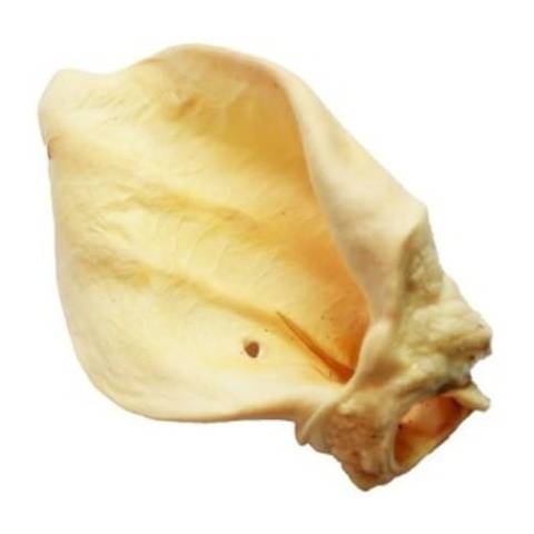 Vector-food ucho wołowe białe duże s90 1szt