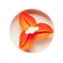 Zdjęcie produktu Pdh spin bougainvillea orange miska interaktywna pdhf101