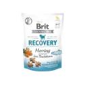 Zdjęcie produktu BRIT CARE Dog Functional Snack Recovery Herring & Sea Buckthorn 150g