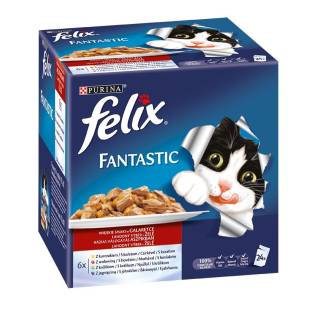 Felix fantastic 4 (24x100g) pl