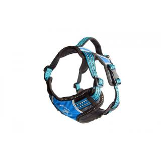 All for dogs szelki 2x-sport niebieski s