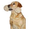 Kerbl zabawka dla psa z włóknem czyszczącym zęby, 12 x 40 cm 81454