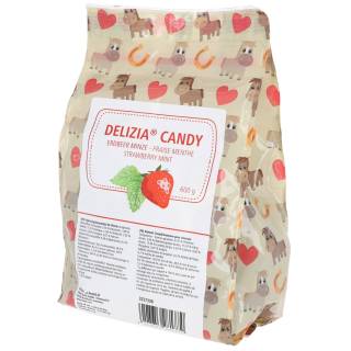 Smakołyki dla konia Delizia Candy Truskawka/Mięta, 600 g