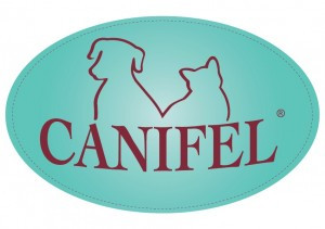 Canifel