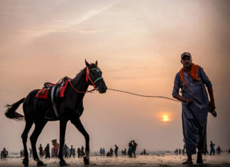 Czym są lonże dla konia?